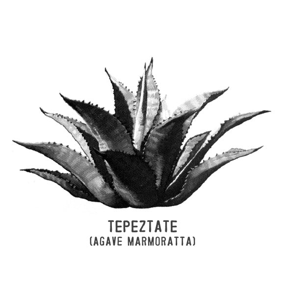 Tepeztate 700ml