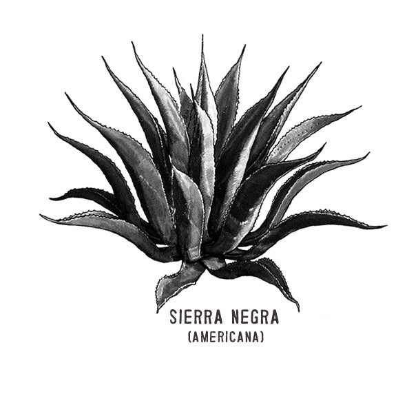 Sierra Negra 700ml